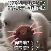 啊不然是要我怎样？像只小猫一样撒娇？喵喵喵？？萌不萌（啊不然是要我怎样？像只小猫一样撒娇？喵喵喵？？萌不萌）