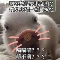 啊不然是要我怎样？像只小猫一样撒娇？喵喵喵？？萌不萌