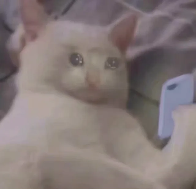 流泪猫猫头