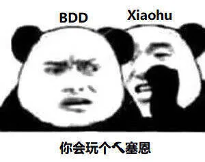 BDDXiaohu你会玩个人塞恩