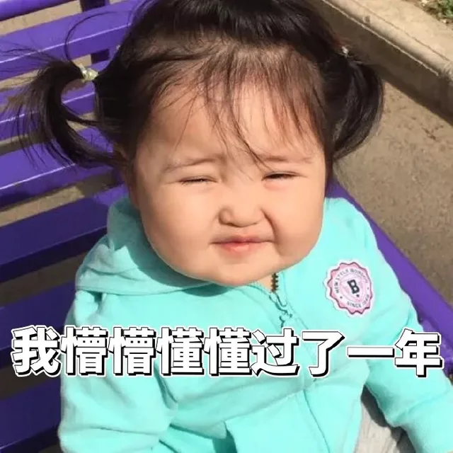 我懵懵懂懂过了一年