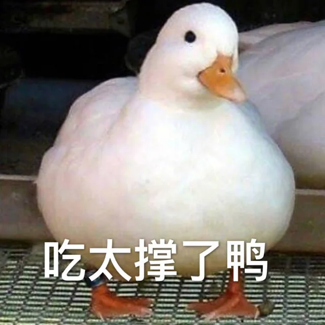 吃太撑了鸭（吃太撑了鸭）