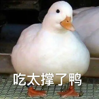 一组鸭鸭表情包系列_鸭表情包