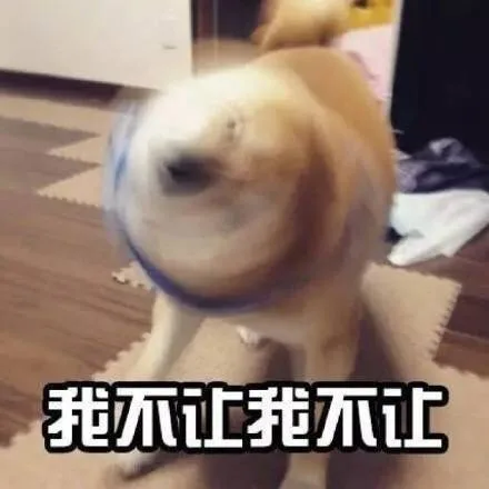 我不让 我不让 狗子摇头（我不让 我不让 狗子摇头）