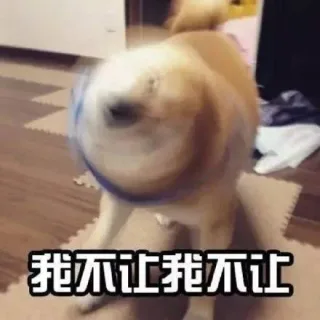我不让 我不让 狗子摇头