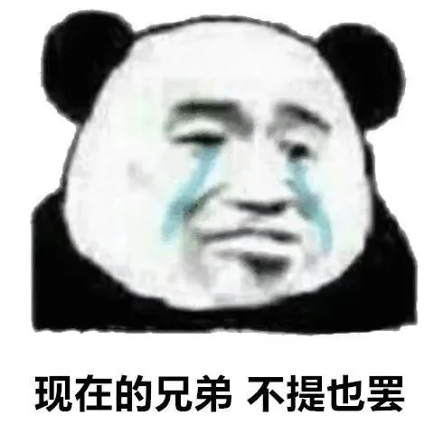 现在的兄弟不提也罢（现在的兄弟不提也罢）