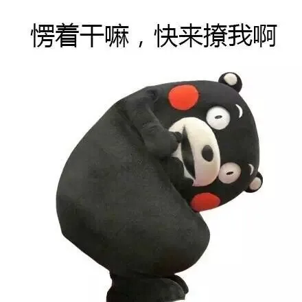 愣着干嘛，快来撩我啊