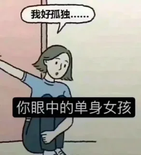 你眼中的单身女孩 VS 实际上的单身女孩 _内涵表情包