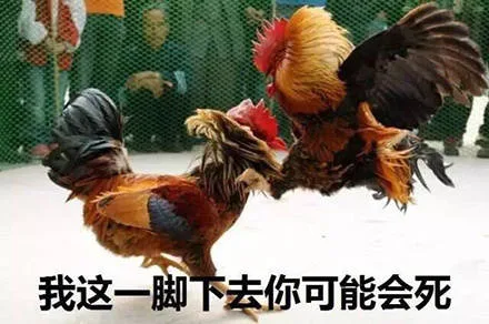 我这一脚下去你可能会死