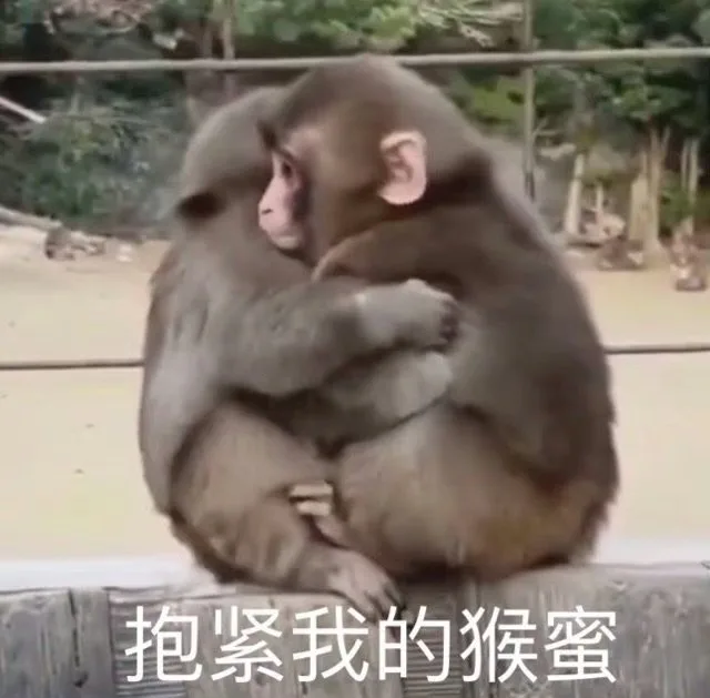 抱紧我的猴蜜（抱紧我的猴蜜）
