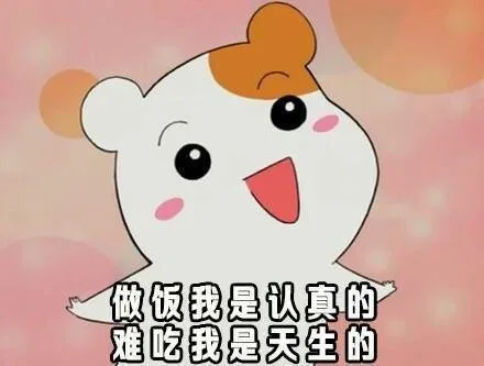 做饭我是认真的，难吃我是天生的（做饭我是认真的，难吃我是天生的）