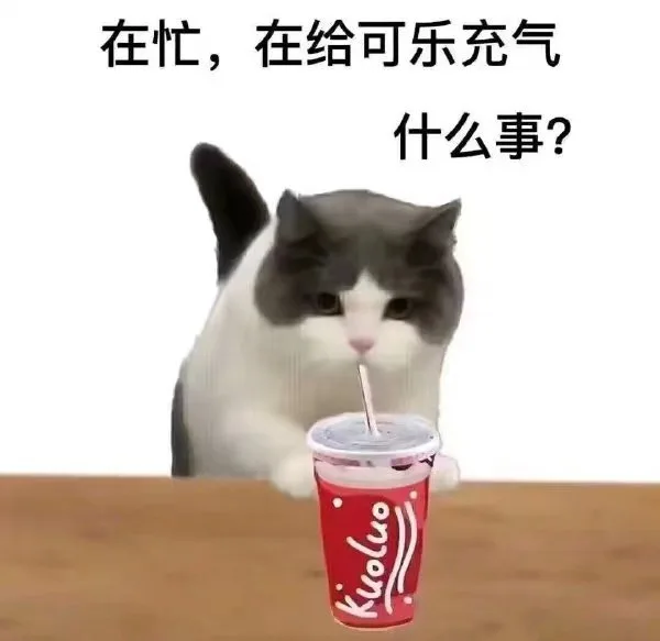 在忙，在给可乐充气什么事？（在忙，在给可乐充气什么事？）