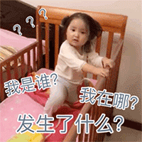 我是谁？我在哪？发生了什么？？？