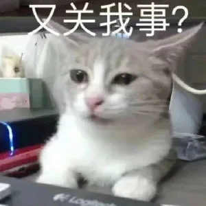 又关我事？(猫猫表情包)（又关我事？(猫猫表情包)）