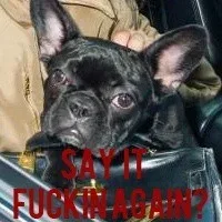 SAY IT FUCKIN AGAIN?