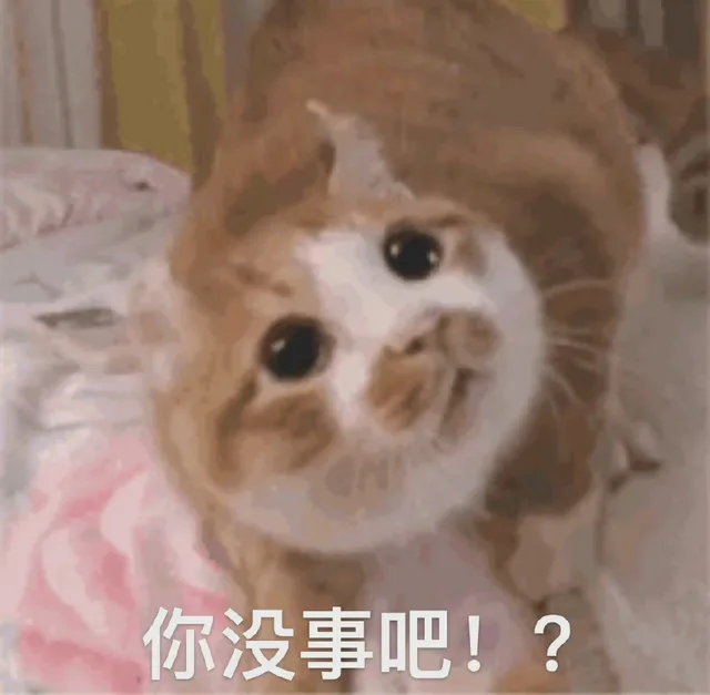 你没事吧!?