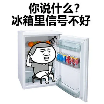 你说什么？冰箱里信号不好（你说什么？冰箱里信号不好）