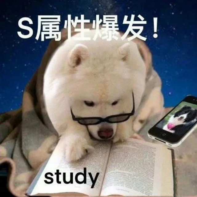S属性爆发！study