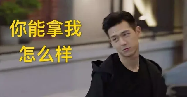 你能拿我怎么样（你能拿我怎么样）