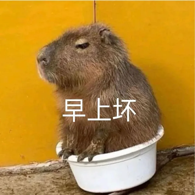 早上坏（早上坏）