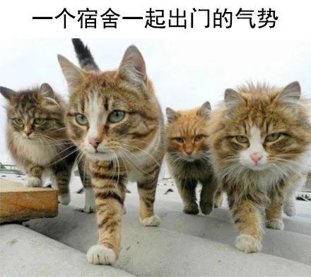 个宿舍一起出门的气势（个宿舍一起出门的气势）