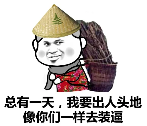 总有一天，我要出人头地 像你们一样去装逼