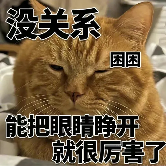 没关系困困能把眼睛睁开就很厉害了（没关系困困能把眼睛睁开就很厉害了）