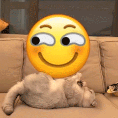 万物皆可盘猫咪动态