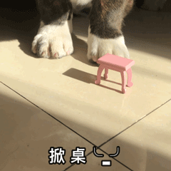 掀桌心（掀桌心）