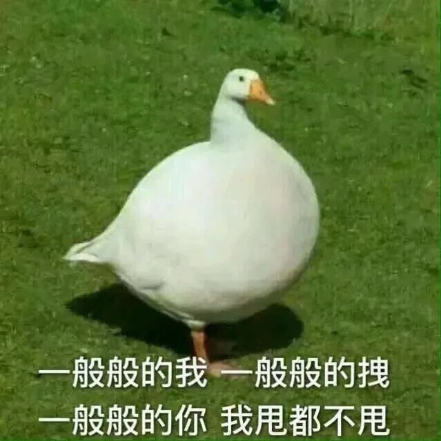 鹅鹅鹅~ 肥鹅表情包_鹅
