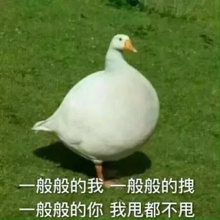 鹅鹅鹅~ 肥鹅表情包_鹅表情包