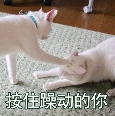 都是喵星人的表情，一起吸猫吧_猫咪_萌萌哒