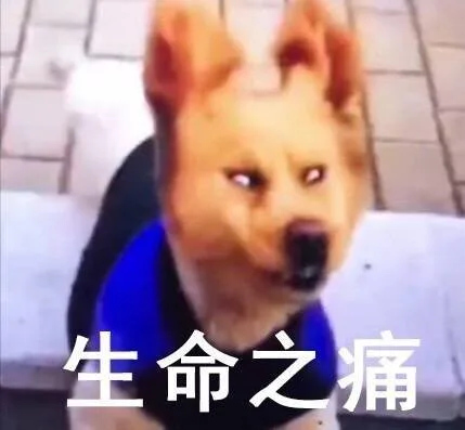 生命之痛