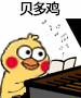贝多鸡（小黄鸡弹琴）
