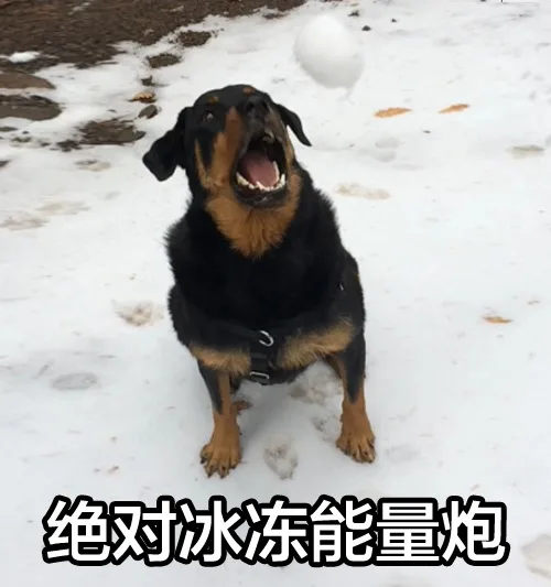 绝对冰冻能量炮（绝对冰冻能量炮）