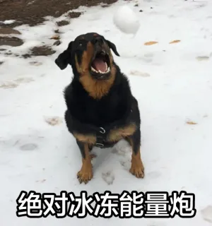 绝对冰冻能量炮