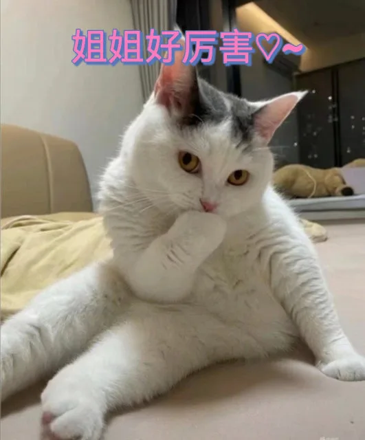 姐姐好厉害~（姐姐好厉害~）