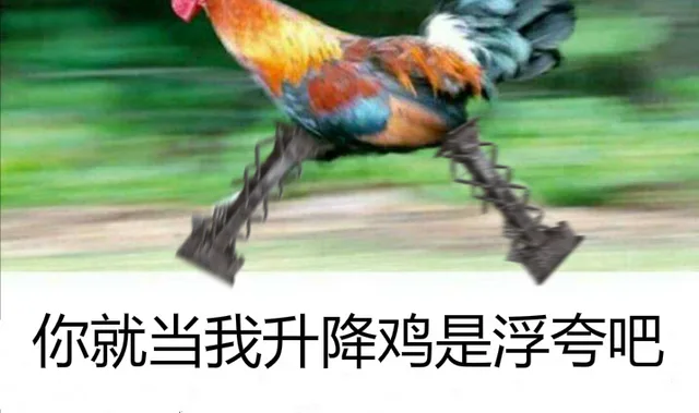 你就当我升降鸡是浮夸吧（你就当我升降鸡是浮夸吧）