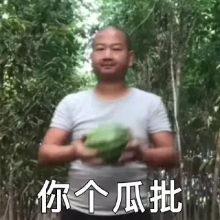 你个瓜批