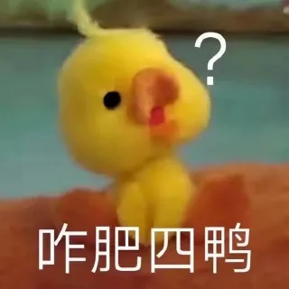 咋肥四鸭