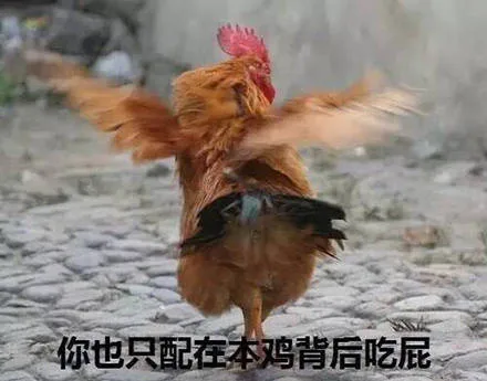 你也只配在本鸡背后吃屁