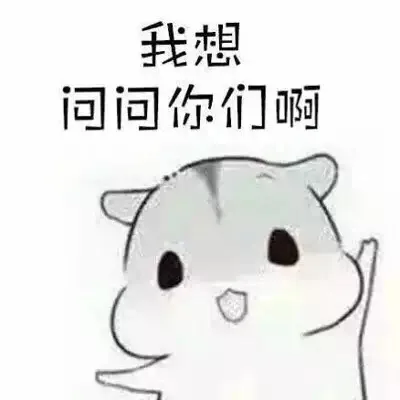 我想问问你们啊（我想问问你们啊）