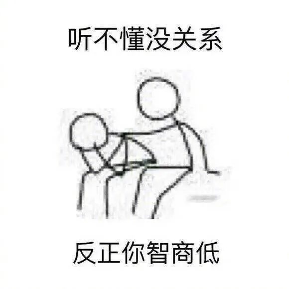 听不懂没关系，反正你智商低
