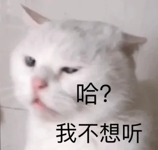 可耐猫咪表情包系列