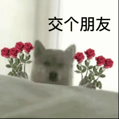 交个朋友