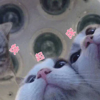 快起床