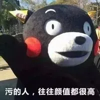污的人，往往颜值都很高 熊本熊表情包_动图