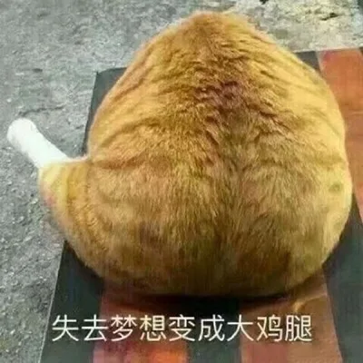 一组戏精喵星人表情包_猫_喵星人_萌萌哒