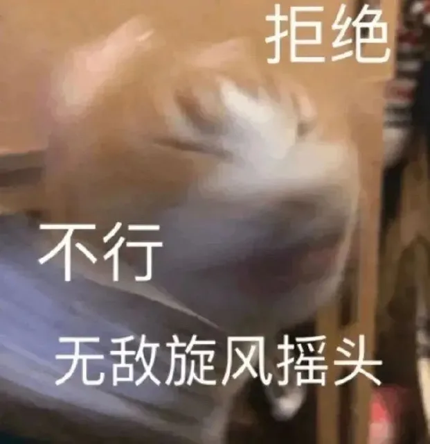 拒绝不行无敌旋风摇头（拒绝不行无敌旋风摇头）