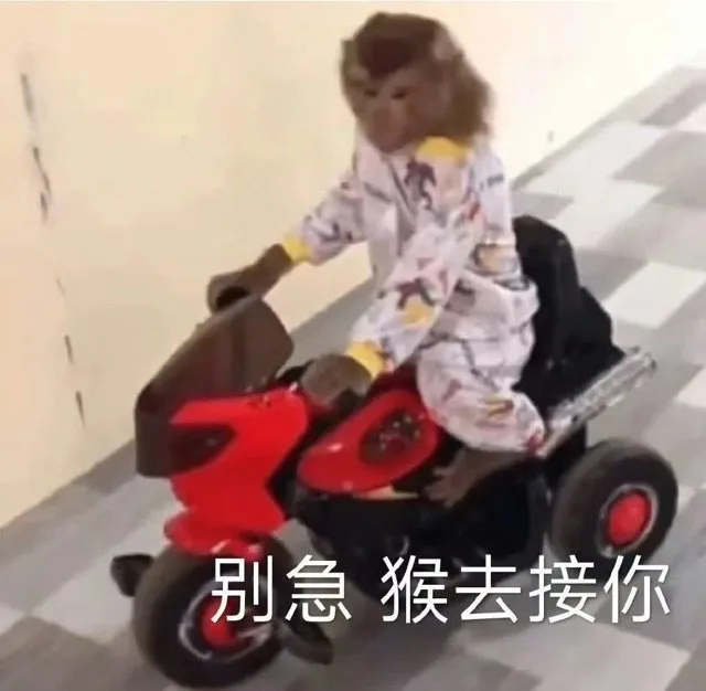 别急猴去接你（别急猴去接你）